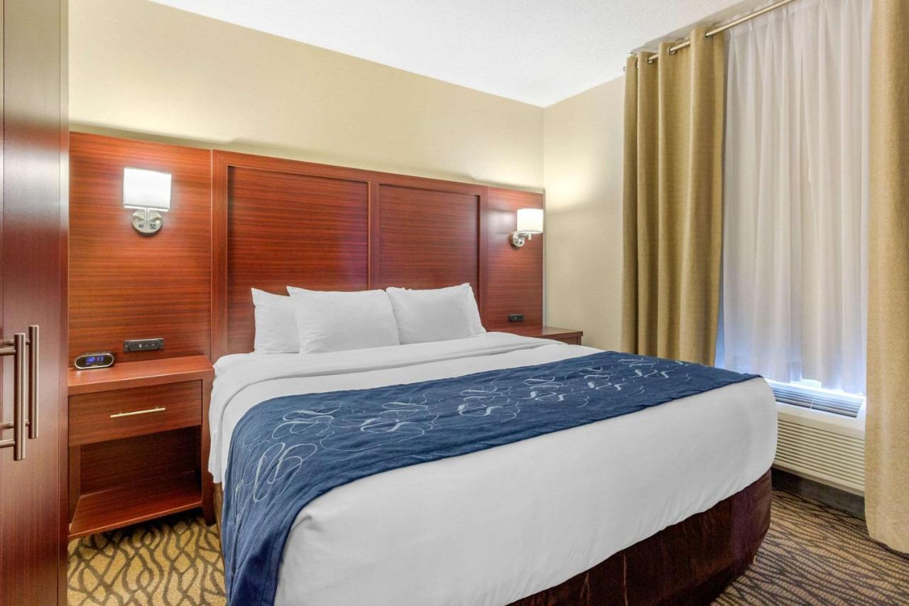 Comfort Suites Downtown Виндзор Экстерьер фото